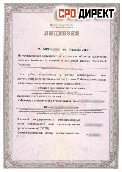 Санкт-Петербург - Образец лицензии минкульта. Сторона 1